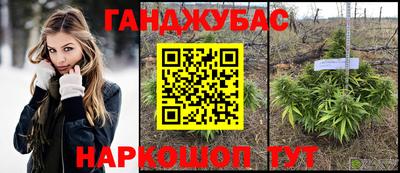 стаф Нальчик