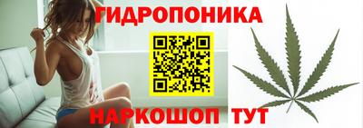 стаф Нальчик