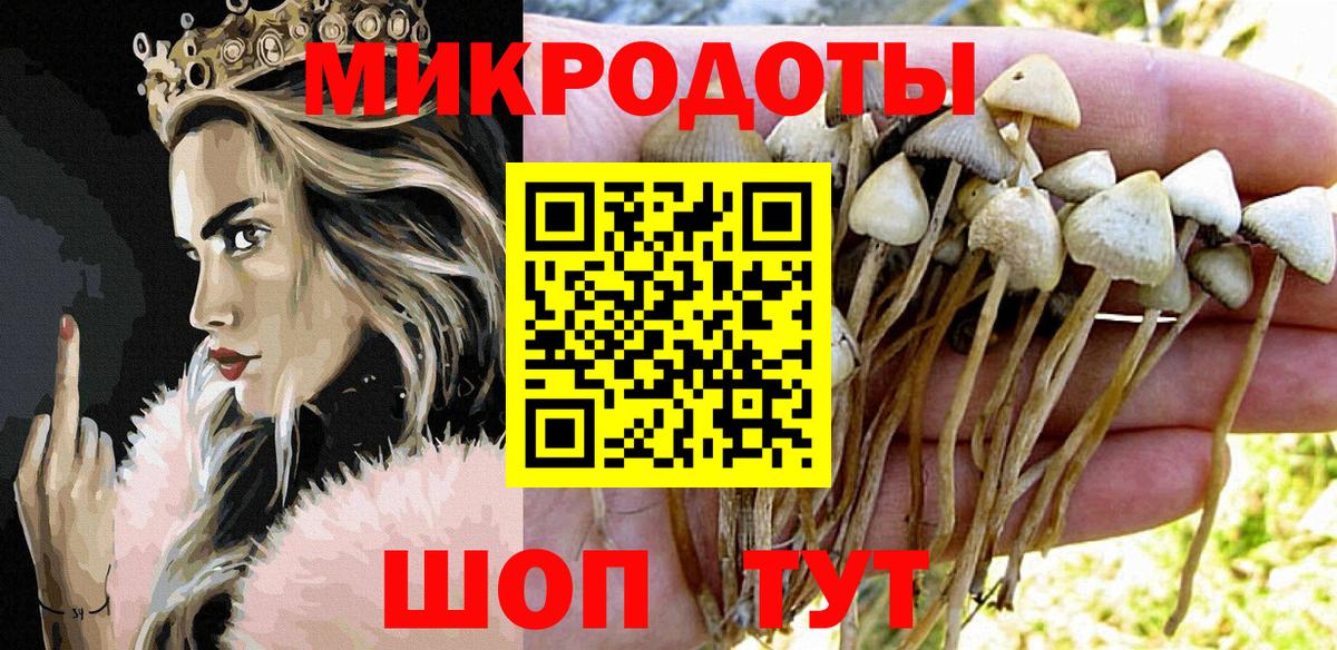 Псилоцибиновые грибы GOLDEN TEACHER  Галлюциногенные грибы GOLDEN TEACHER  Вход с VPN  купить наркотики цена  Владикавказ 
